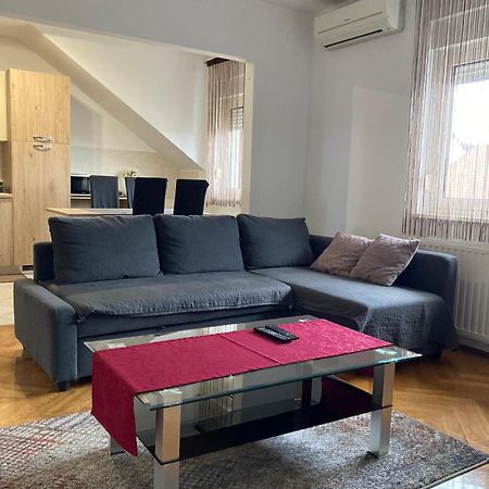 Apartments "Pavic" Near Zagreb Airport Velika Gorica Exterior foto